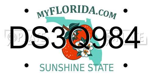 DS3Q984 Florida License Plate
