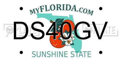 DS40GV Florida License Plate
