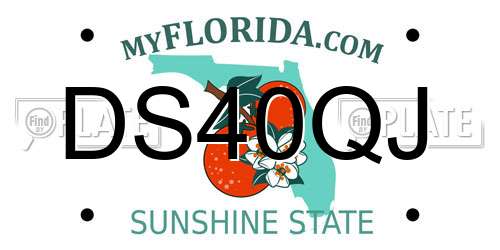 DS40QJ Florida License Plate