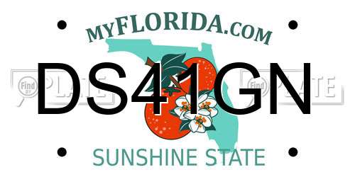 DS41GN Florida License Plate