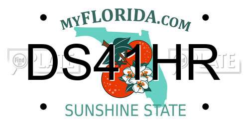 DS41HR Florida License Plate