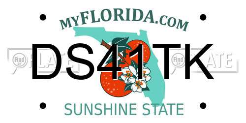 DS41TK Florida License Plate