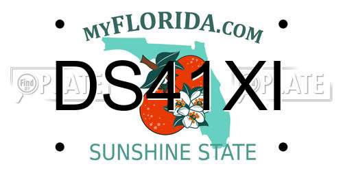 DS41XI Florida License Plate