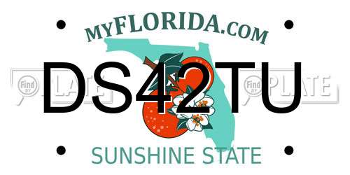 DS42TU Florida License Plate