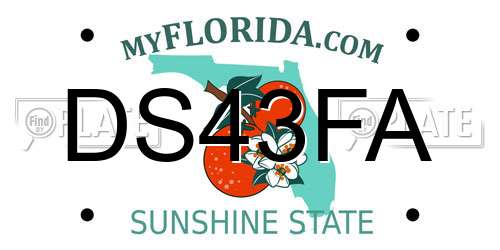 DS43FA Florida License Plate
