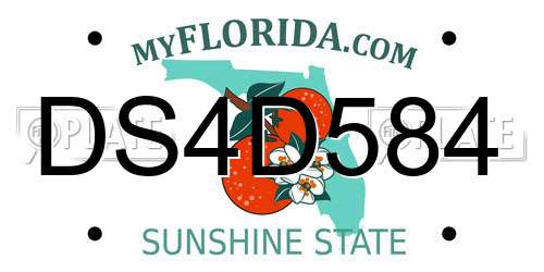 DS4D584 Florida License Plate