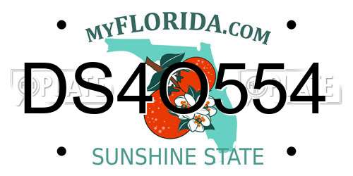 DS4O554 Florida License Plate
