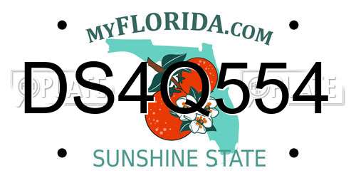DS4Q554 Florida License Plate