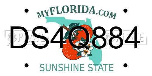 DS4Q884 Florida License Plate