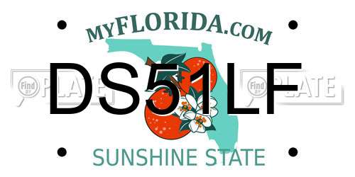 DS51LF Florida License Plate