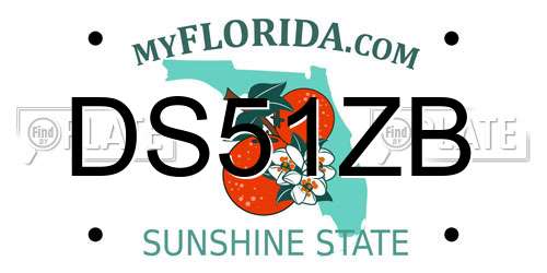 DS51ZB Florida License Plate