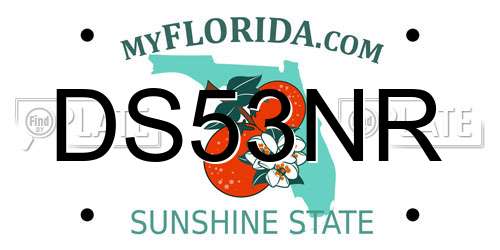 DS53NR Florida License Plate