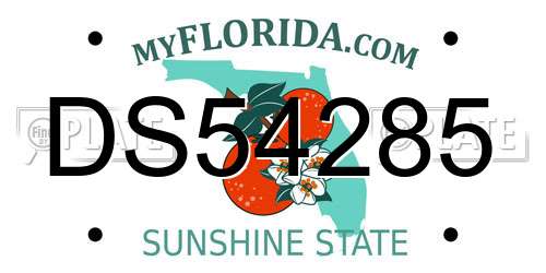 DS54285 Florida License Plate