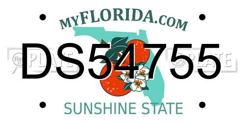 DS54755 Florida License Plate