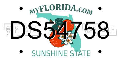 DS54758 Florida License Plate