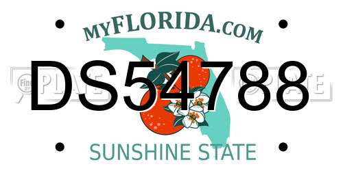 DS54788 Florida License Plate