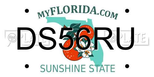 DS56RU Florida License Plate
