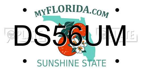 DS56UM Florida License Plate