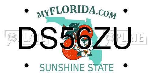 DS56ZU Florida License Plate