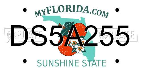 DS5A255 Florida License Plate