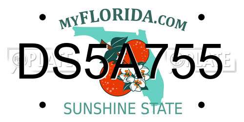 DS5A755 Florida License Plate