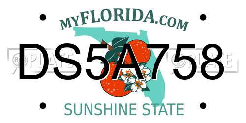 DS5A758 Florida License Plate