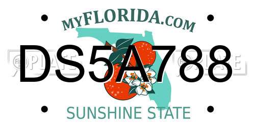 DS5A788 Florida License Plate