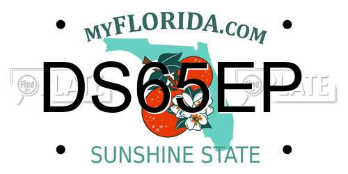 DS65EP Florida License Plate