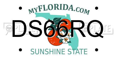 DS66RQ Florida License Plate