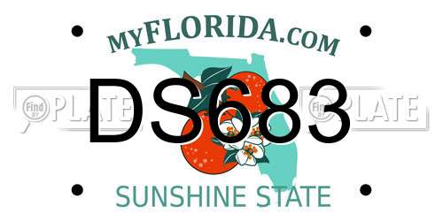 DS683 Florida License Plate