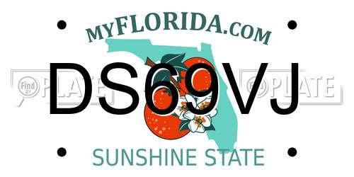 DS69VJ Florida License Plate