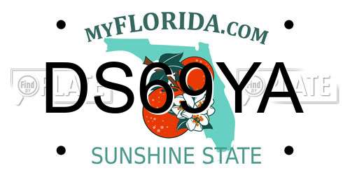 DS69YA Florida License Plate