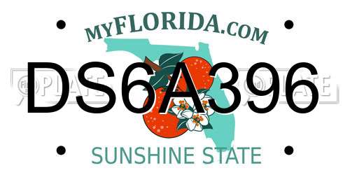 DS6A396 Florida License Plate
