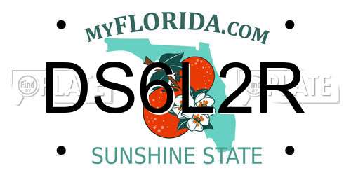 DS6L2R Florida License Plate