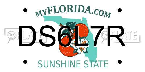 DS6L7R Florida License Plate