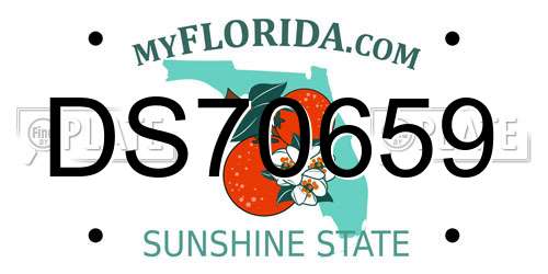 DS70659 Florida License Plate