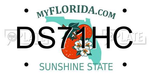 DS71HC Florida License Plate
