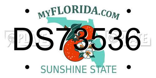 DS73536 Florida License Plate