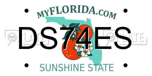 DS74ES Florida License Plate