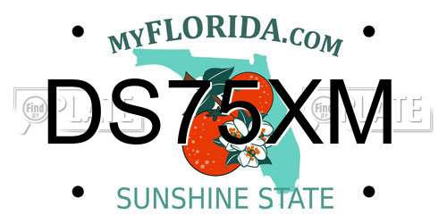 DS75XM Florida License Plate
