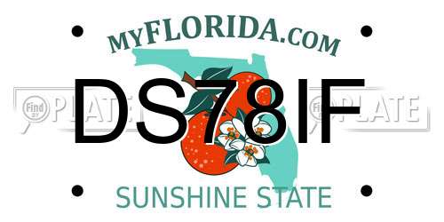 DS78IF Florida License Plate