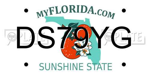 DS79YG Florida License Plate