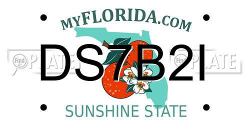 DS7B2I Florida License Plate