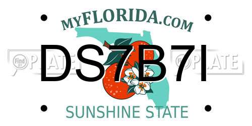 DS7B7I Florida License Plate