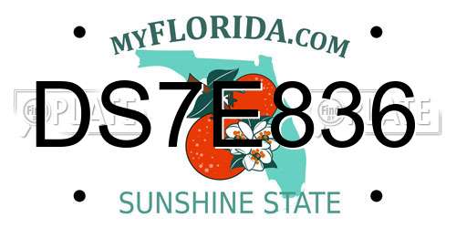 DS7E836 Florida License Plate