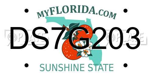 DS7G203 Florida License Plate