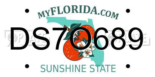 DS7O689 Florida License Plate
