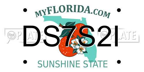 DS7S2I Florida License Plate