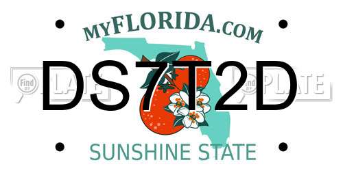 DS7T2D Florida License Plate