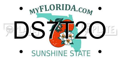 DS7T2O Florida License Plate